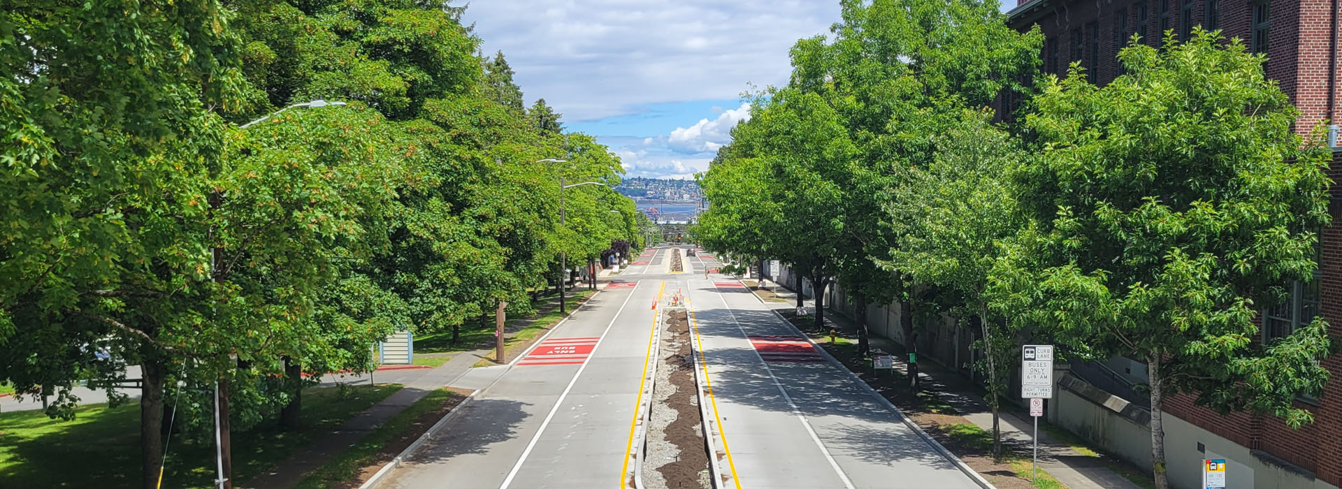 A tree-lined street with two bus lanes on either side of the general traffic lanes