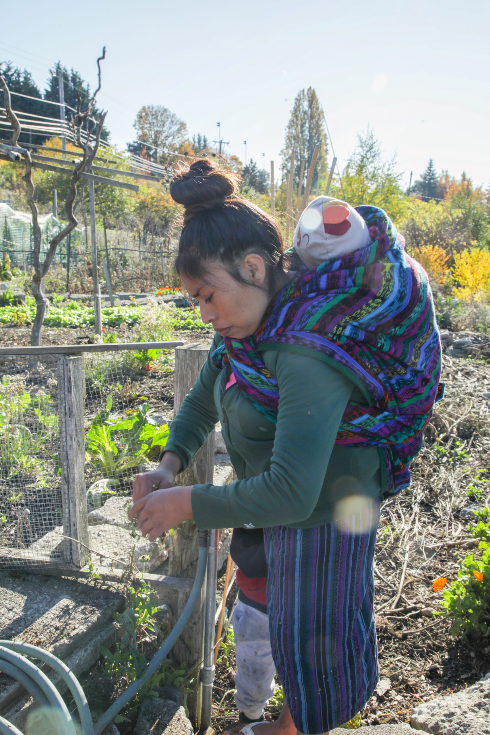 A woman with her baby in a carrier on her back tends to a garden